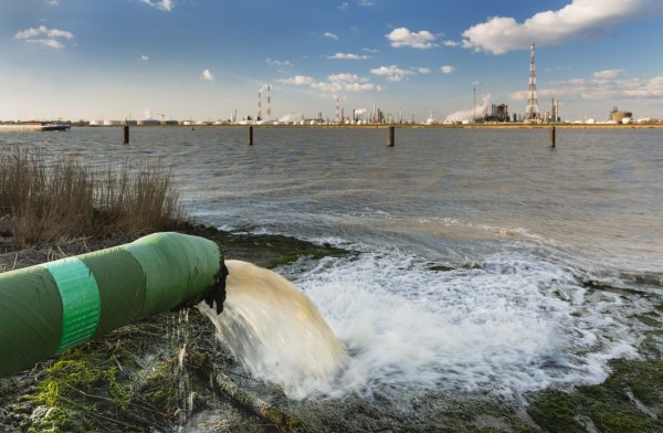 Заводы загрязняют воду