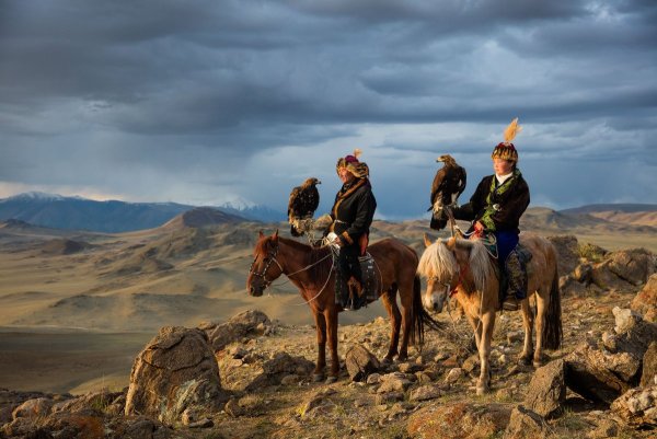 Кочевник Nomad