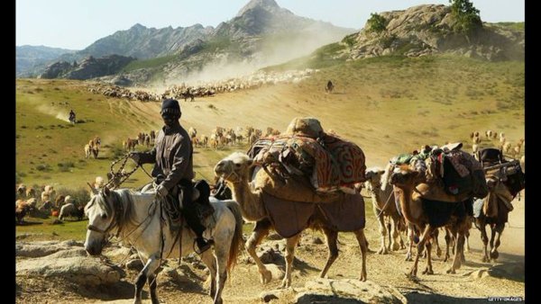 Кочевник Nomad