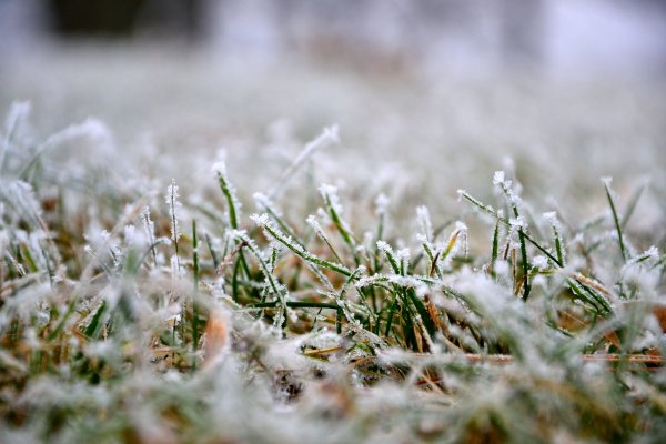 Заморозки Весна