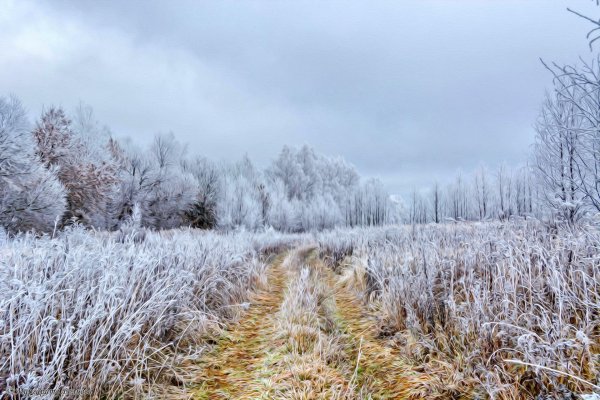 Ноябрь заморозки