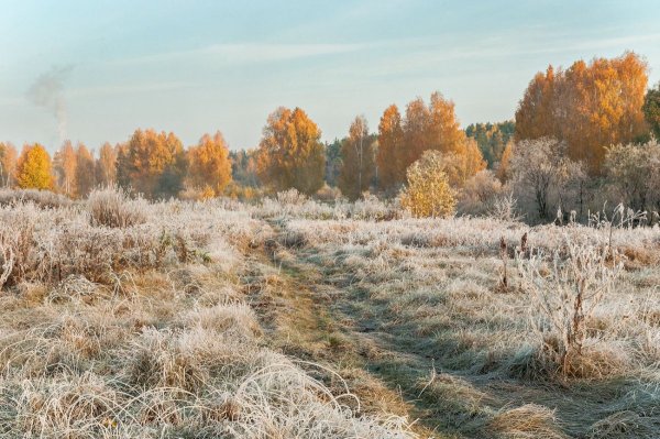 Осенние заморозки