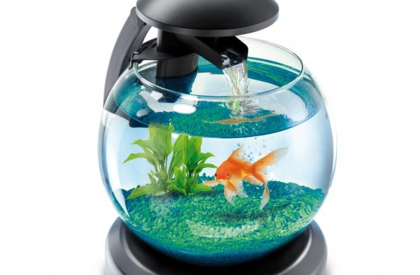 Tetra Cascade Globe Bowl