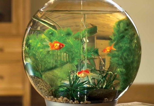 Tetra Cascade Globe