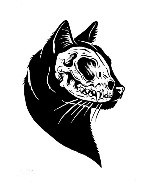 Кошачий череп арт