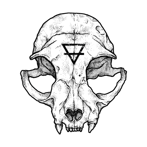 Череп рисунок