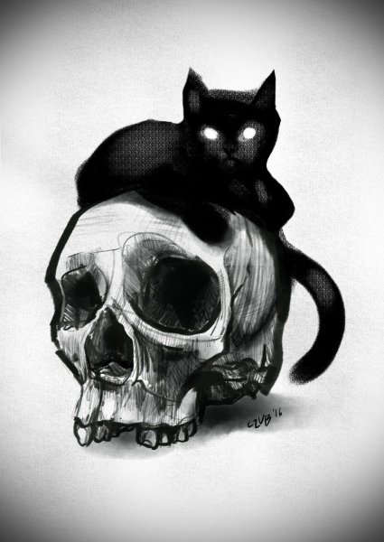 Череп кошки тату