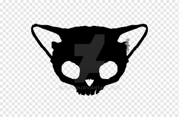 Череп кота