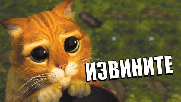 Извините пожалуйста