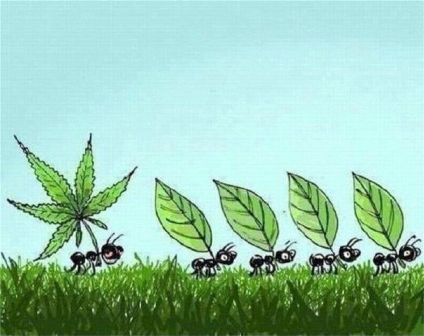 Картина удачи и везения