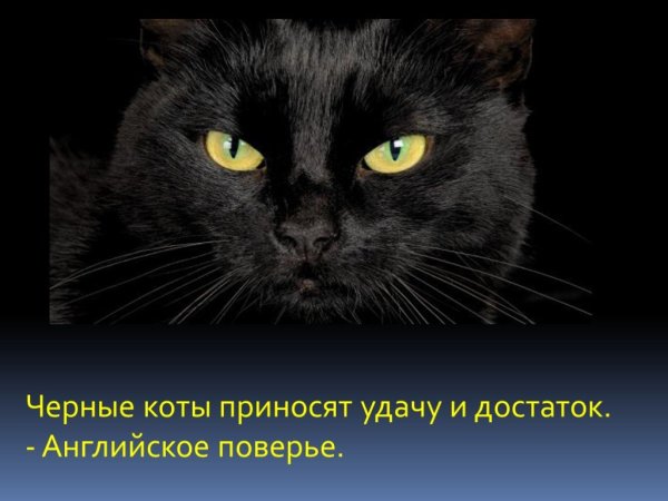 Мандала изобилия процветания богатства
