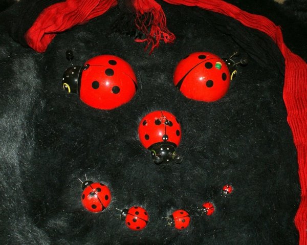 Бабка коробка