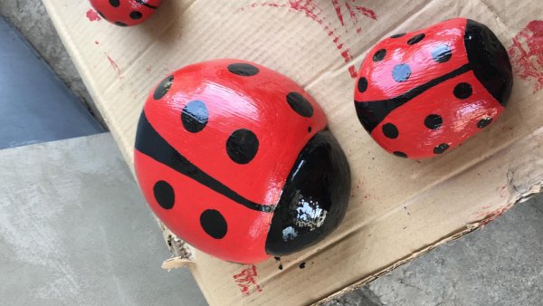 Божья коровка из каски