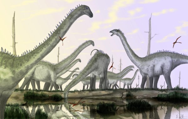 Картинки динозавр диплодок (49 фото)