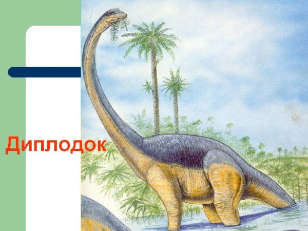 Мозг диплодока