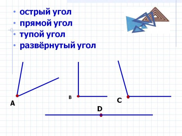 Острый угол тупой угол прямой угол