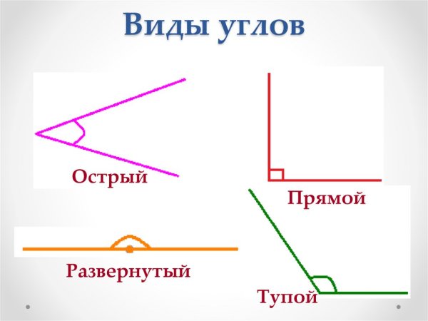 Угол. Виды углов (прямой, тупой, острый)