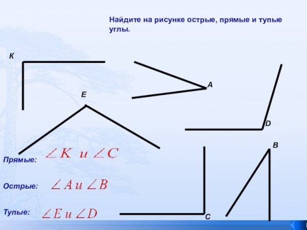 Углы для дошкольников