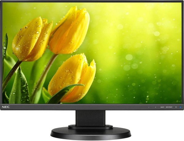 Монитор 21.5", NEC e221n-BK
