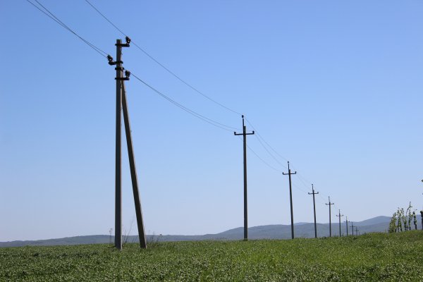 Деревянная опора ЛЭП 10 кв