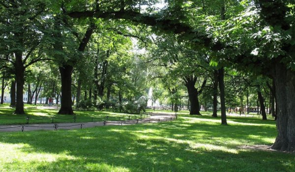 Александровский сад Санкт-Петербург аллея