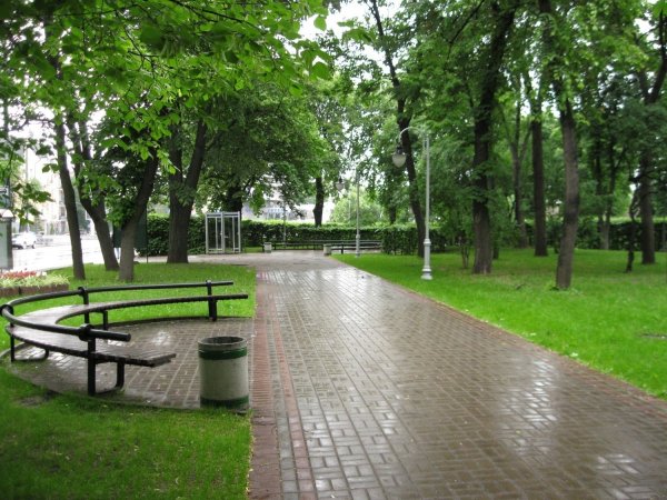 Сквер в парке