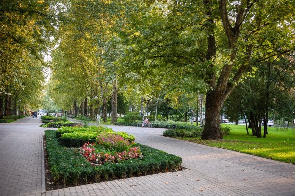 Аллея на красной улице Краснодар