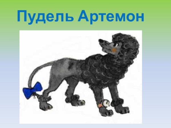 Пудель Артемон