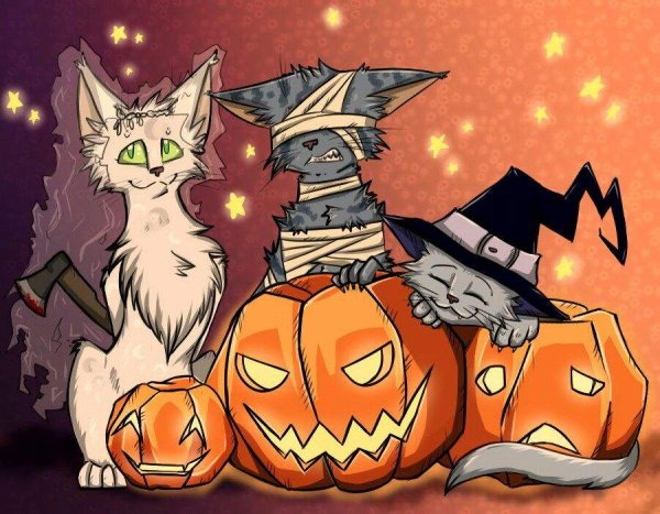 Коты Воители Хэллоуин