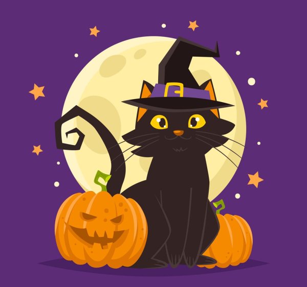 Хэллоуин кошка