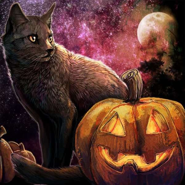 Коты Воители Хэллоуин