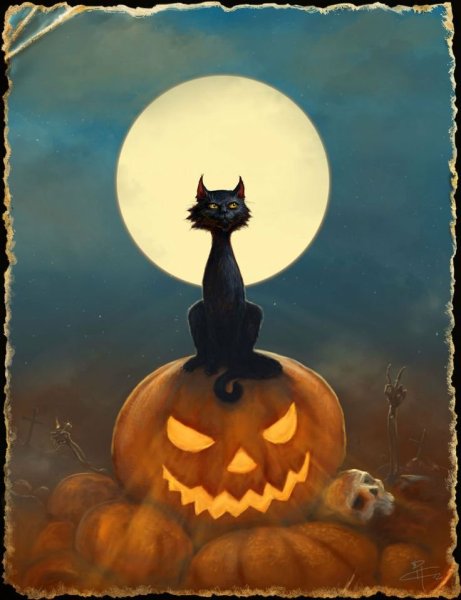 Кот Хэллоуин арт