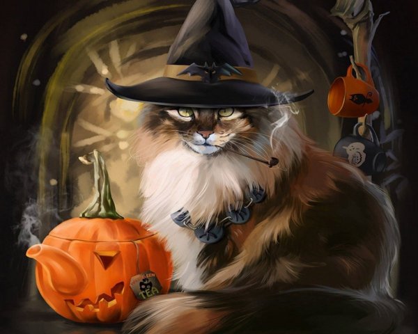 Ведьма с кошкой