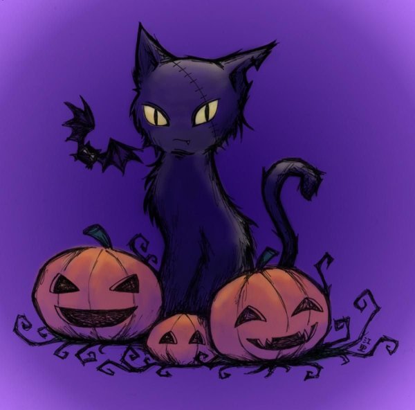 Коты Воители Хэллоуин