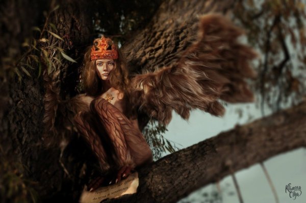 Птица Гамаюн Смоленск