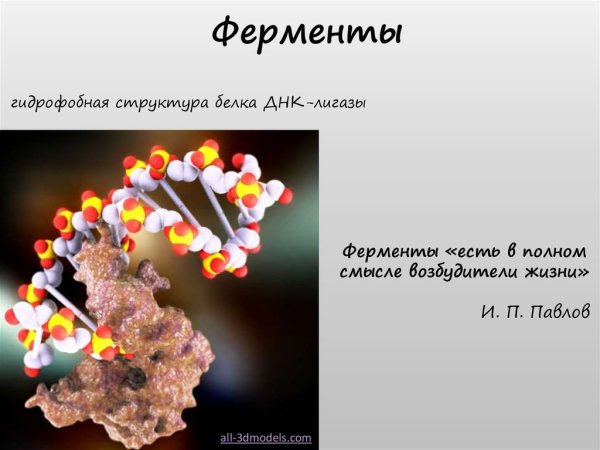 Ферменты микроорганизмов
