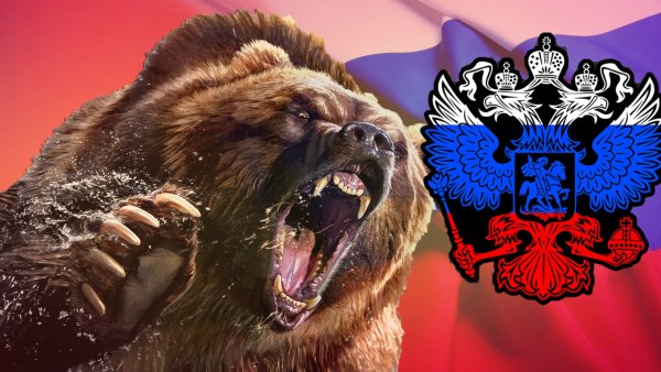 Медведь Россия