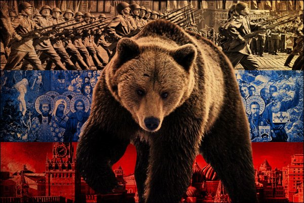 Красивый медведь