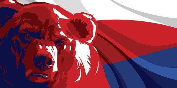 Медведь на фоне российского флага