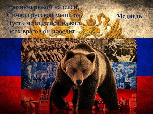 Медведь символ России