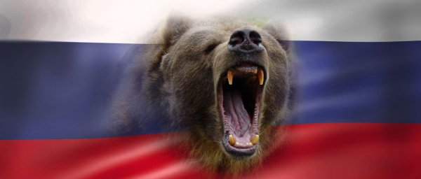 Медведь на фоне флага