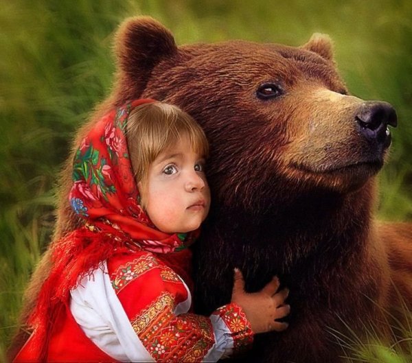 Медведь Россия