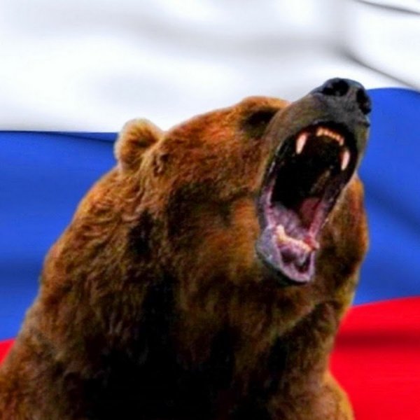 Русский медведь символ России