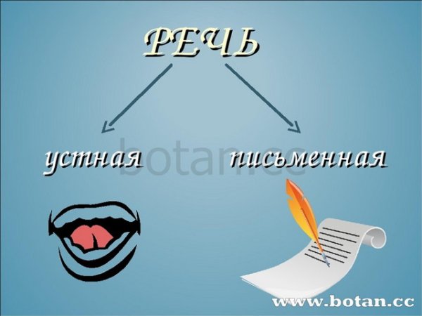 Словесный способ описания алгоритма пример