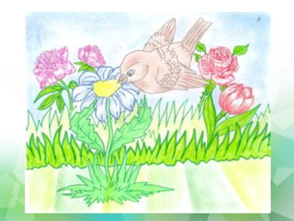 Ганс христиан Андерсен Ромашка рисунок