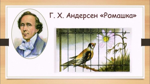 Ромашка Ганс христиан Андерсен