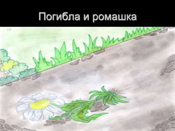 Ганс Андерсен Ромашка