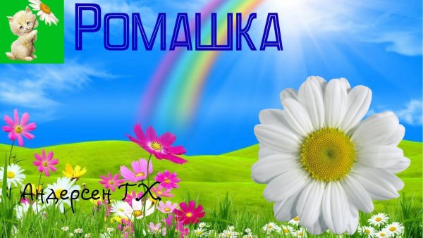 Ромашка Ганс христиан Андерсен