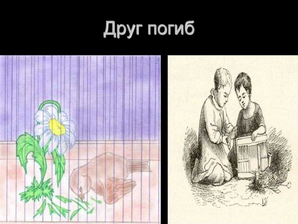 Сказка Ромашка Андерсена