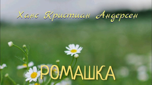 Сказка про ромашку